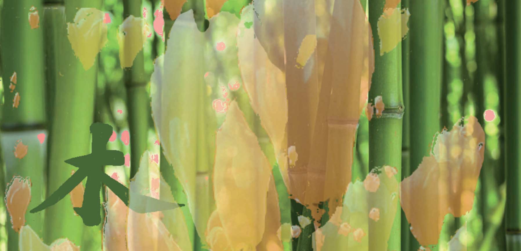 seiten aus funf elemente karten 01 2