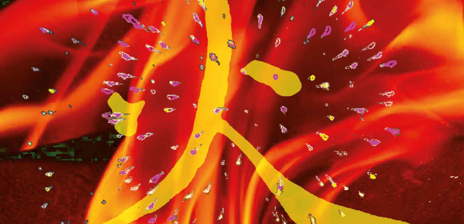 Infos fünf Elemente